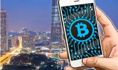 如何高效导入比特币核心钱包:完整指南与技巧