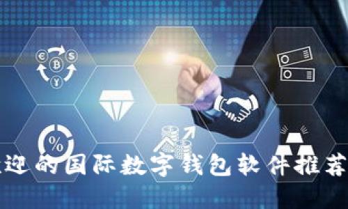 全球最受欢迎的国际数字钱包软件推荐及使用指南
