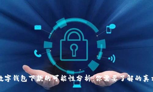 数字钱包下款的可能性分析:你需要了解的真相