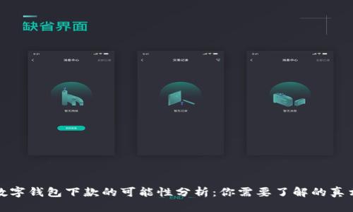 数字钱包下款的可能性分析:你需要了解的真相