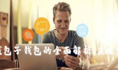 人民币数字钱包子钱包的全面解析：未来支付的