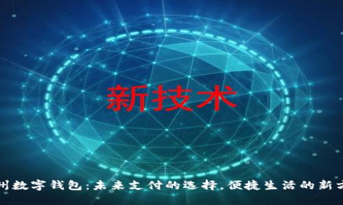 徐州数字钱包：未来支付的选择，便捷生活的新方式