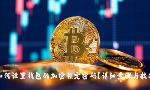 如何设置钱包的加密锁定密码？详细步骤与技巧