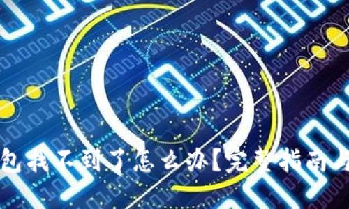 区块链钱包找不到了怎么办？完整指南与解决方案