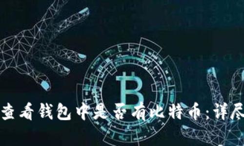 如何查看钱包中是否有比特币:详尽指南