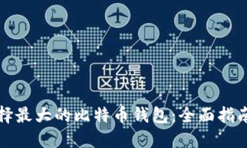 如何选择最大的比特币钱包：全面指南与推荐