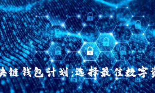 全面解析区块链钱包计划：选择最佳数字资产存储方案