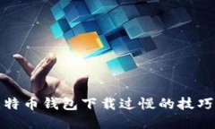 解决比特币钱包下载过慢的技巧与建议
