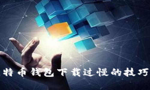 解决比特币钱包下载过慢的技巧与建议