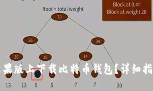 如何在苹果版上下载比特币钱包?详细指南和推荐