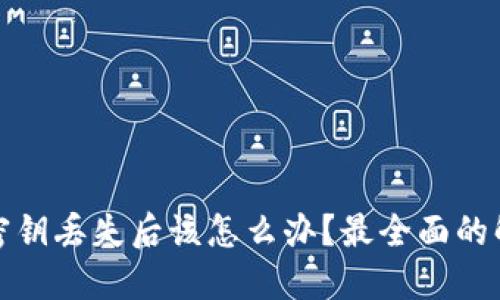 数字钱包地址密钥丢失后该怎么办?最全面的解决方案与技巧