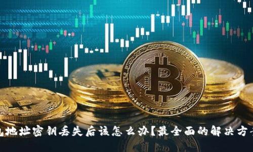 数字钱包地址密钥丢失后该怎么办?最全面的解决方案与技巧