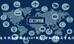 如何在麦子钱包中创建USDT钱包:详细步骤与常见