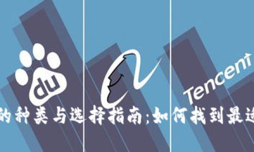 区块链钱包的种类与选择指南:如何找到最适合你的钱包