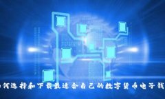 如何选择和下载最适合自己的数字货币电子钱包