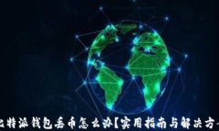 比特派钱包丢币怎么办?实用指南与解决方案