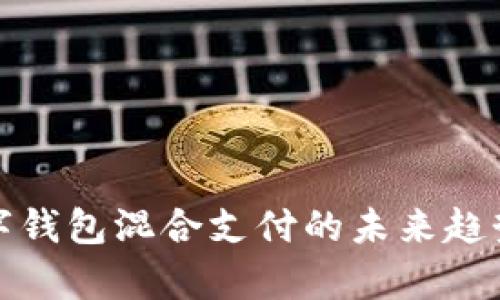 全面解析数字钱包混合支付的未来趋势与应用价值