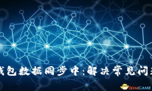 比特币钱包数据同步中：解决常见问题与技巧