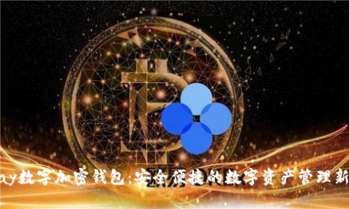 BBPay数字加密钱包：安全便捷的数字资产管理新选择