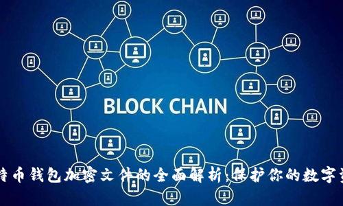 比特币钱包加密文件的全面解析:保护你的数字资产