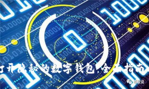 如何打开隐秘的数字钱包:全面指南与技巧