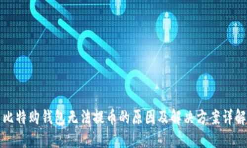 比特购钱包无法提币的原因及解决方案详解