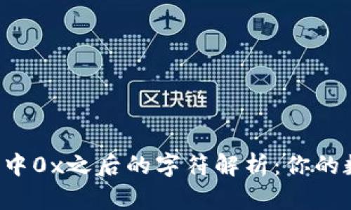区块链钱包地址中0x之后的字符解析:你的数字资产安全吗?